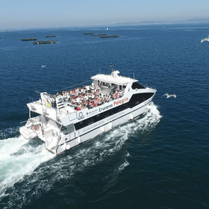 Crucero por la Ría de Arousa