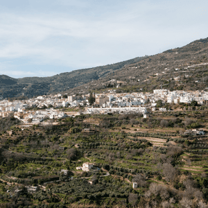 Alpujarra Granadina (Sin almuerzo)