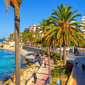 Ronda, Marbella y Puerto Banús (Sin almuerzo)