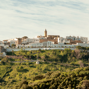 Ruinas de Baelo Claudia, Tarifa y Véjer de la Frontera (Sin almuerzo)