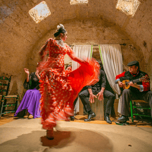 Cueva Zambra del Sacromonte y Espectáculo de Flamenco (nocturna)