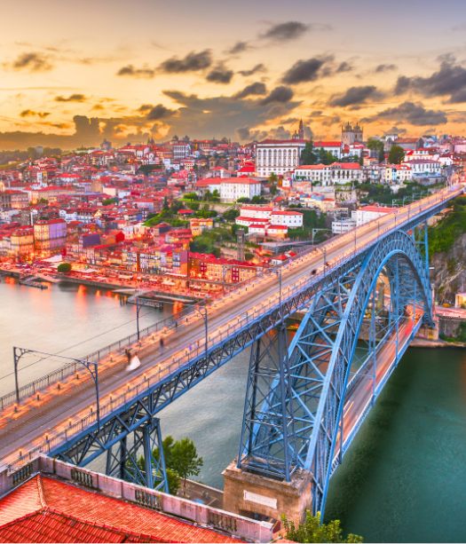 Visita de Oporto (Sin Almuerzo)