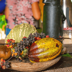 Visita Campo y Cacao