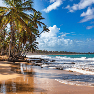 Visita: Montaña Redonda 360