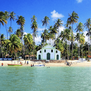 Playa de Carneiros (Desde Porto de Galinhas)