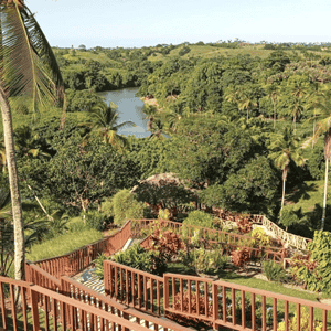 Visita a River Ranch