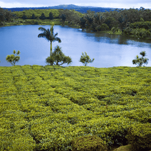 Paisajes y Cultura del Sur